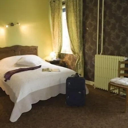 Hotel Le Lion D'or 2*